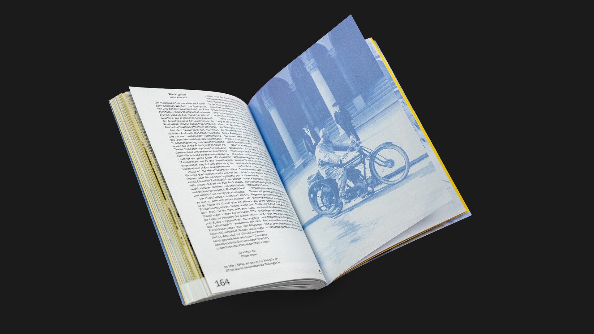 Hirschmatt Neustadt Luzern